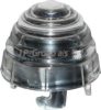 PORSC 64463141101 Lens, indicator